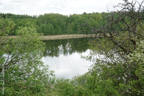 Fototapeta Naklejka Na Ścianę i Meble -  Lake in forest - Masuria, Poland