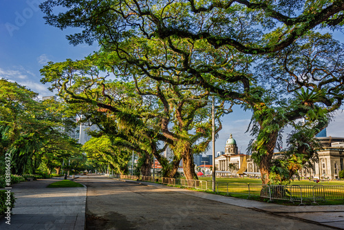 Singapore - View from an old avenue of trees in Esplanade Park to the National Gallery Singapore