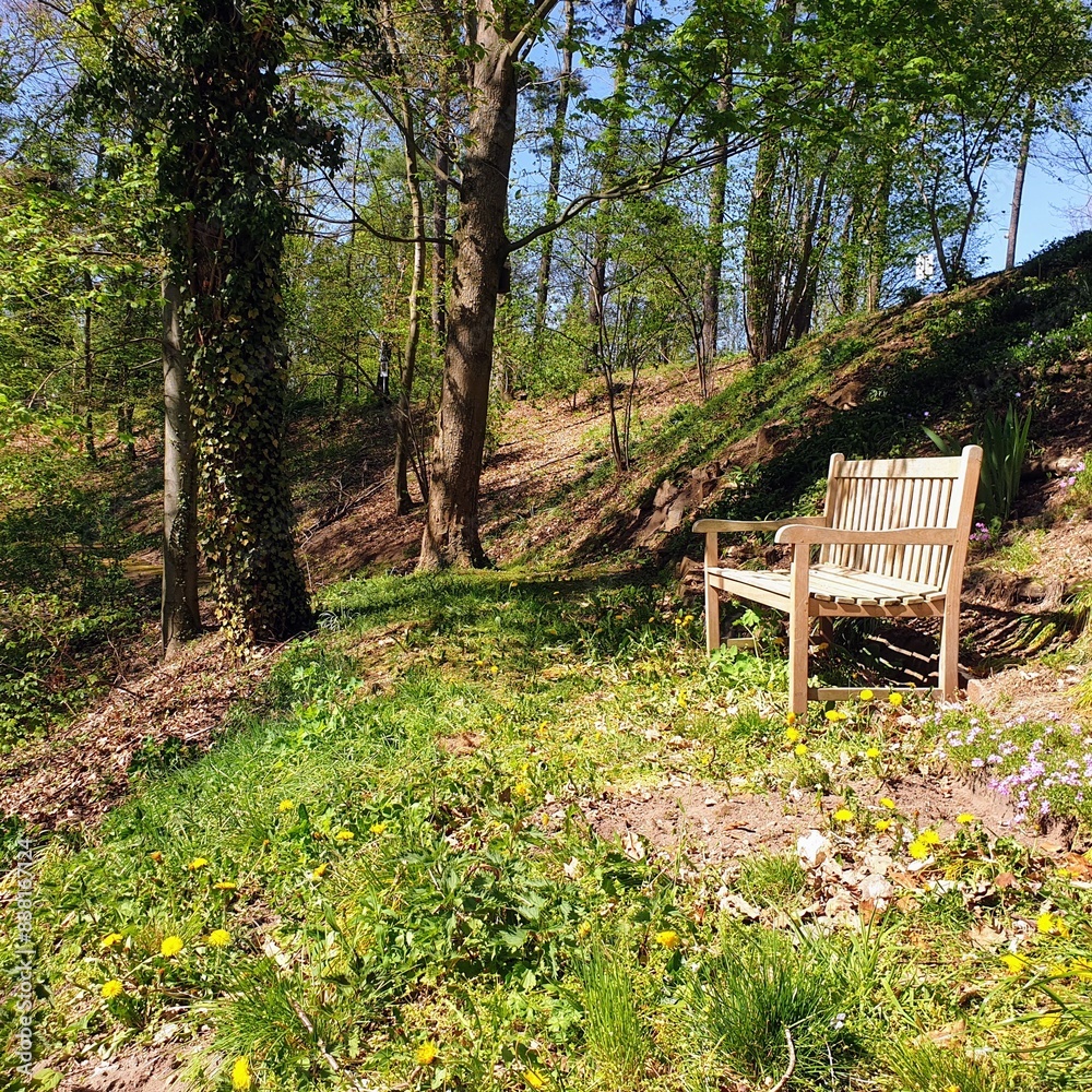 Wooden bench in a forest placed at a slope in springtime Wooden bench in a forest placed at a slope in springtime