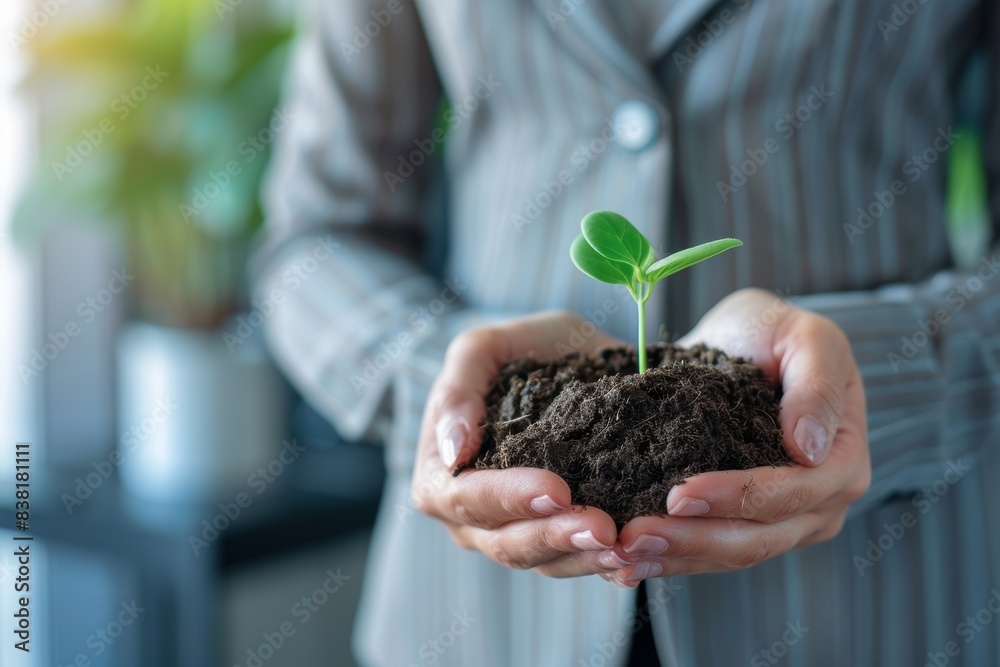 © LukaszDesign - Hand, plant, or business growth for sustainability, startup investment, development, or eco-friendliness. Entrepreneur, soil, firm resources, future project, career, or sprout © LukaszDesign - Hand, plant, or business growth for sustainability, startup investment, development, or eco-friendliness. Entrepreneur, soil, firm resources, future project, career, or sprout