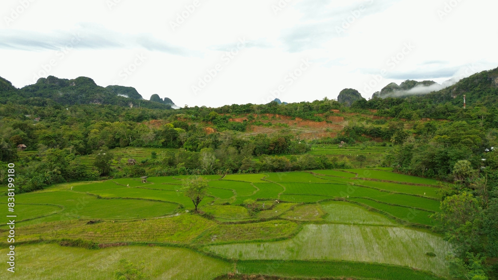 Aerial view, panoramic view of the countryside with a large garden Aerial view, panoramic view of the countryside with a large garden