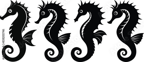 Seahorse vector silhouette an white background 