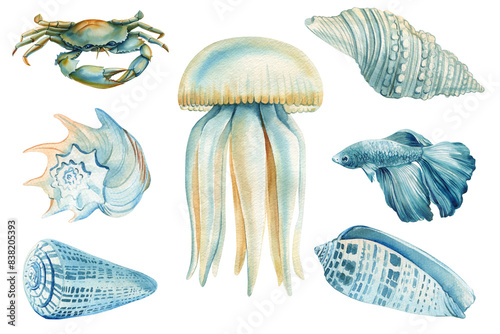Sticker Jellyfish, crab, seashell, fish isolated background, marine set watercolor painting illustration