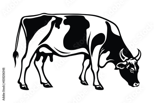 Vector drawing of cow isolated on white background  vector design 