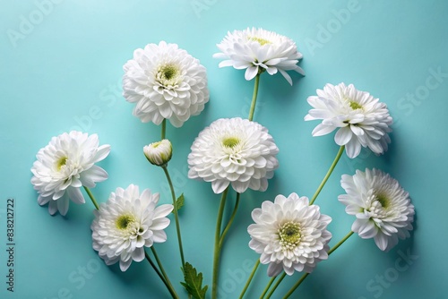 Set of white flowers isolated on background   flowers  white  isolated background  floral  petals  delicate  nature  blooms  botany  garden  bouquet  pure  elegance  minimalistic  spring