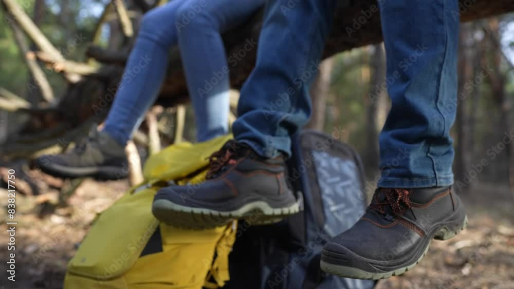 group of hikers sitting on a tree legs close-up. travel adventure teamwork concept. lifestyle tourists resting at a rest stop feet shoes close-up backpacks standing on the ground in the forest group of hikers sitting on a tree legs close-up. travel adventure teamwork concept. lifestyle tourists resting at a rest stop feet shoes close-up backpacks standing on the ground in the forest