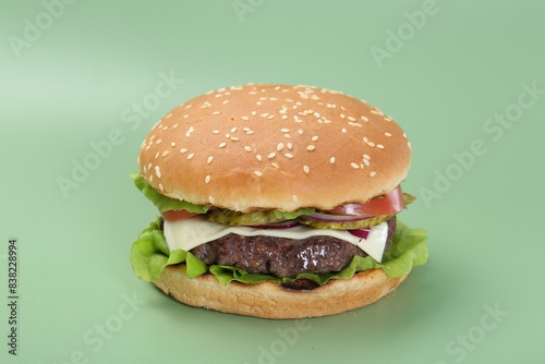 Burger with delicious patty on green background