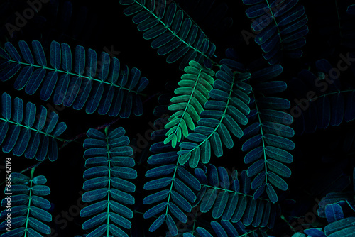 Quadro em tela green leaf background, dark blue color toned