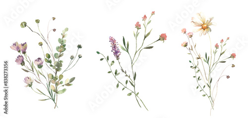 Wallpaper Mural Watercolor Midsummer floral Bouquets collection with hand painted delicate leaves, wildflowers. Romantic floral arrangements perfect for wedding invitation. High quality PNG illustration. Torontodigital.ca