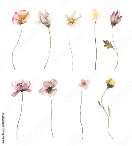 Watercolor Midsummer flowers collection with hand painted delicate  wildflowers. Romantic floral arrangements perfect for wedding greeting cards, invitation. High quality PNG illustration.