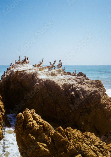 The rocky shore line, pelicans, and waves, at Leo Carrillo State Park in the Malibu coast. Pictures taken in the summer on 35mm film