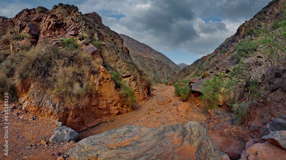 Obraz premium Northern Kyrgyzstan. Picturesque winding trails of the Kok Moinok canyons with red-brown rock along the Chu River.