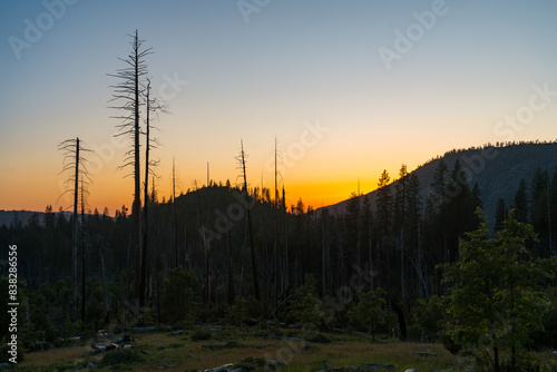 Views at the dispersed campgrounds in the California Sierra Nevada Mountains at sunrise. Large trees and mountain views. photo