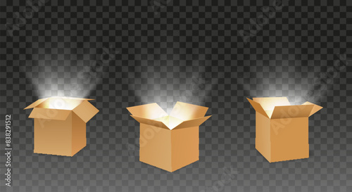 Open cardboard boxes with rays