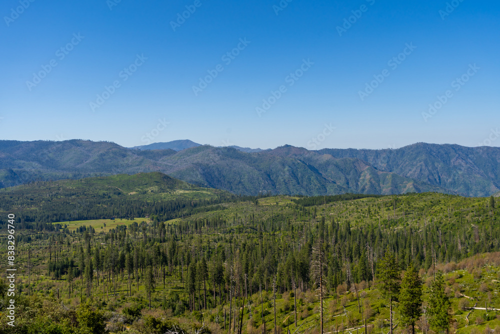 Views while driving in Yosemite National Park during the summer. Views while driving in Yosemite National Park during the summer.