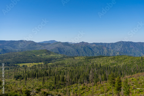 Views while driving in Yosemite National Park during the summer.