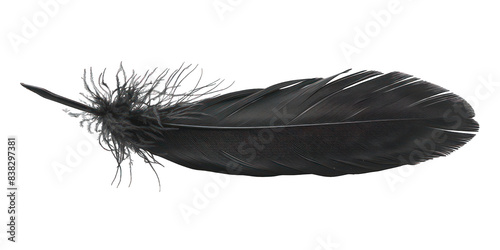 PNG Black feather white background lightweight