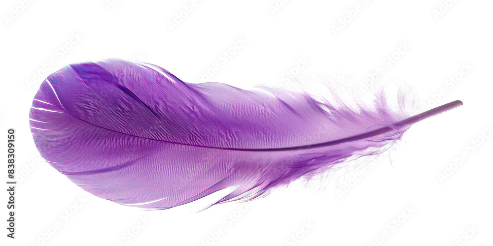 PNG Purple feather white background lightweight PNG Purple feather white background lightweight
