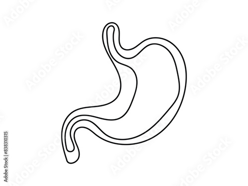 Hand drawing of human stomach outline vector illustration