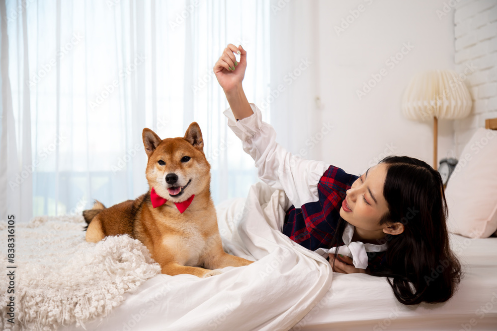 custom made wallpaper toronto digitalAsian young woman in cozy bedroom playing with her Shiba Inu dog wearing red bow tie on white bed