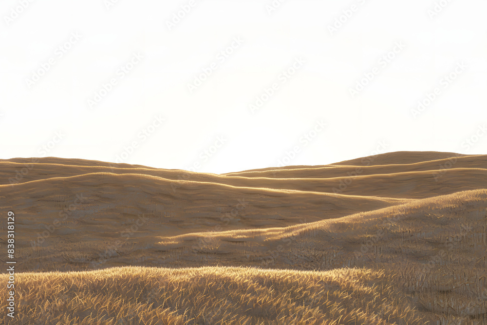 Fototapeta premium paisaje de campo plantación de cereales al amanecer atardecer