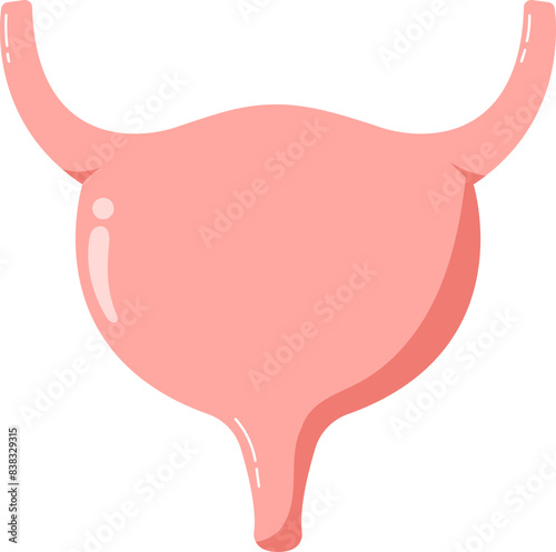 Human Bladder Hand Drawn Vector Illustration