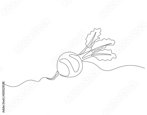Continuous one line drawing of beet root. One line drawing illustration of growing radish. Vegetable growing concept continuous line art. Editable outline.