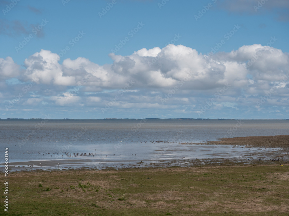 Aerial View: Wadden Sea near Wierum, Friesland, Netherlands and Stunning Cloud Reflections Aerial View: Wadden Sea near Wierum, Friesland, Netherlands and Stunning Cloud Reflections