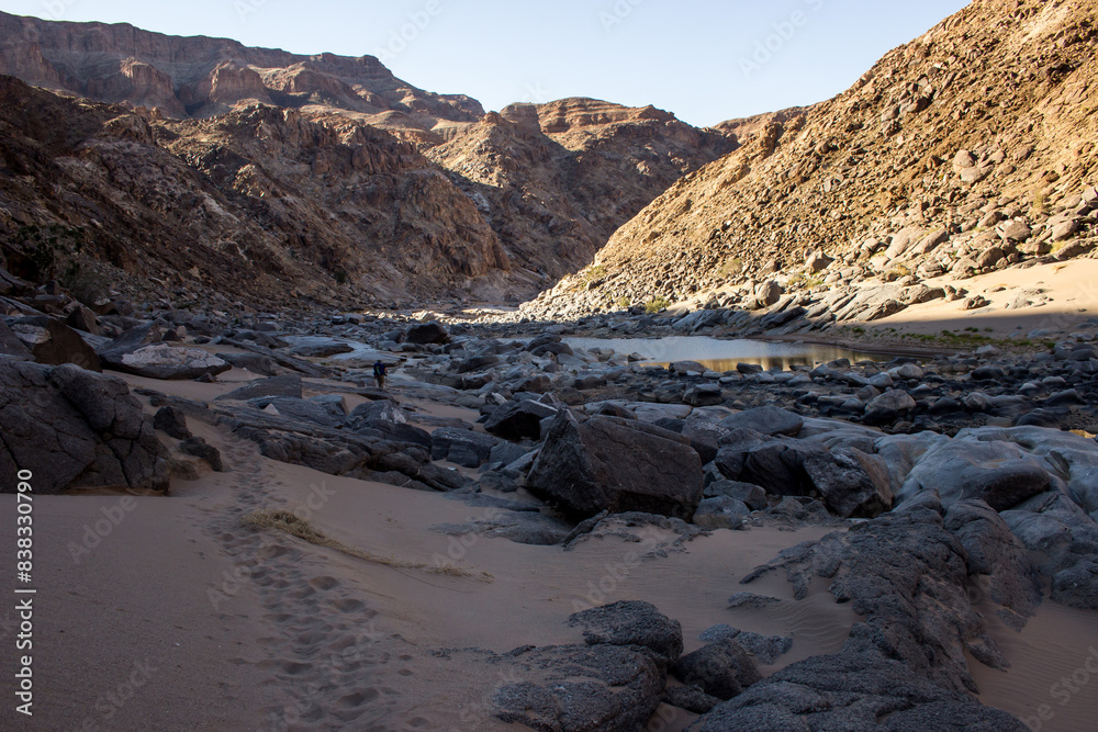 Obraz premium Early morning in the desolate environment in the Fish River Canyon of Namibia