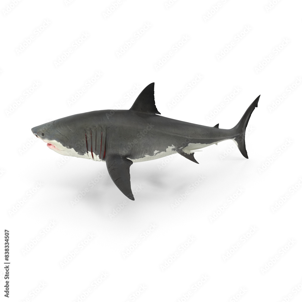 Hight resolutin 3D animals Hight resolutin 3D animals