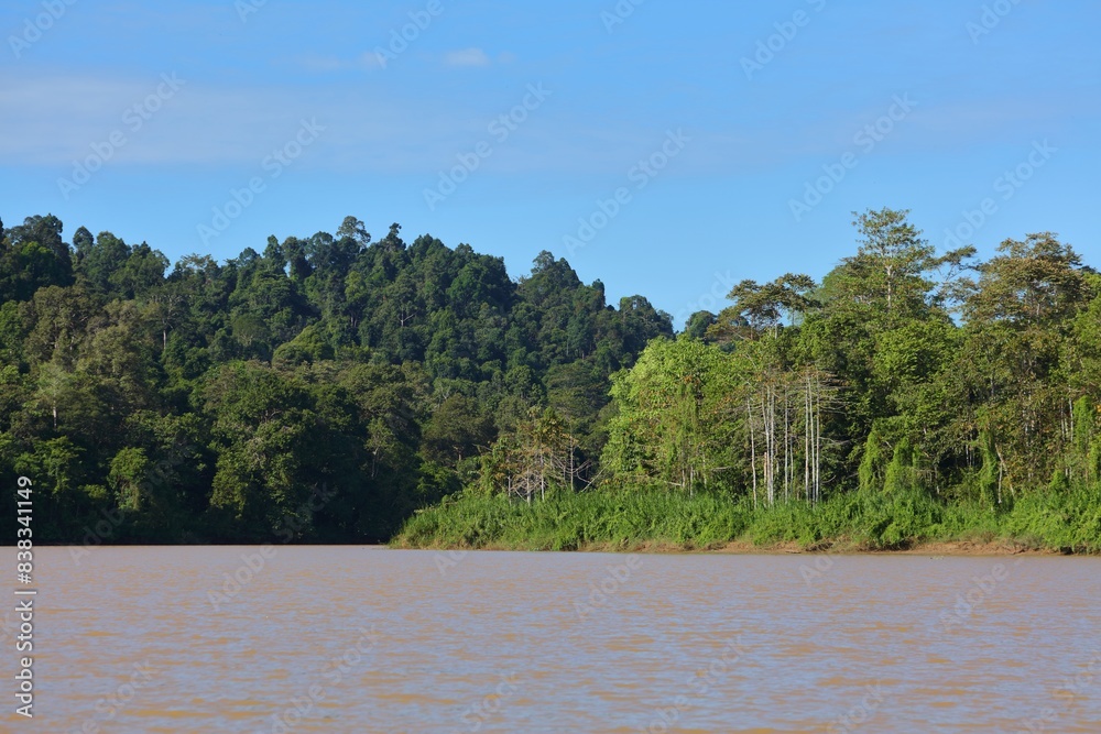 Kinabatangan River landscape in Borneo, Malaysia Kinabatangan River landscape in Borneo, Malaysia