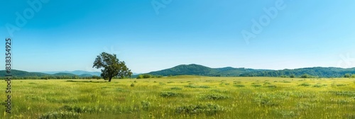 Picturesque Expansive Meadow Landscape with Lush Green Grass,Rolling Hills,and Calm Clear Blue Sky in Serene Countryside Setting © Mickey