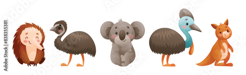 Cute Australian Animals and Endemic Fauna Vector Set