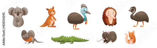 Cute Australian Animals and Endemic Fauna Vector Set