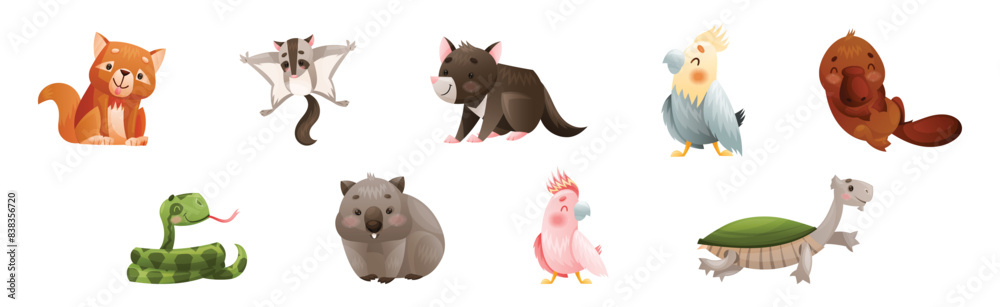 Naklejka premium Cute Australian Animals and Endemic Fauna Vector Set