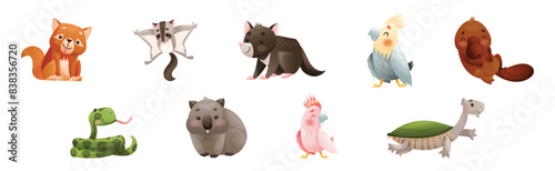 Cute Australian Animals and Endemic Fauna Vector Set
