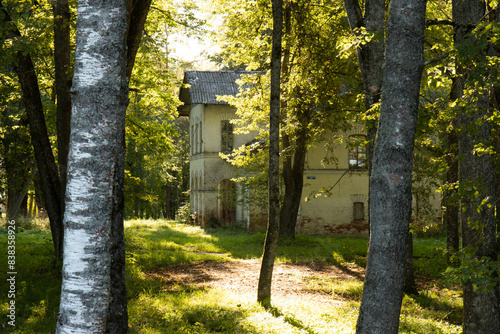 An old cottage in the woods. A house in a wooded area. An old house among green trees.