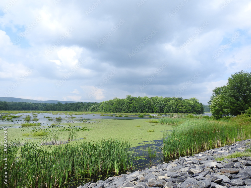 Φωτογραφία The scenic beauty of Minsi Lake, during the early summer season