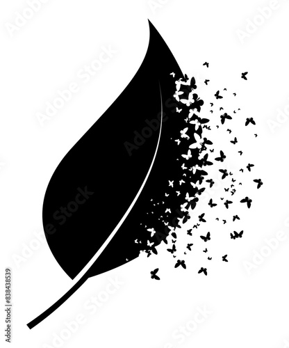 Silhouette of a leaf with butterflies photo