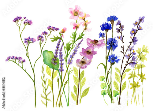 Fiorellini multicolore, illustrazione ad acquerello isolata su sfondo bianco