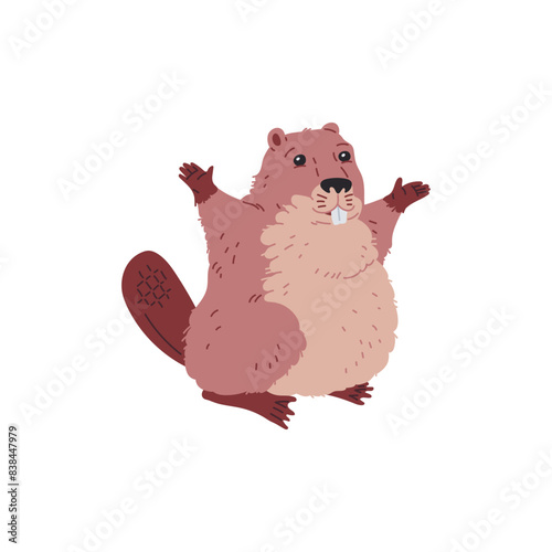 Vector illustration beaver with teeth, a flat tail and happily raised its paws up.