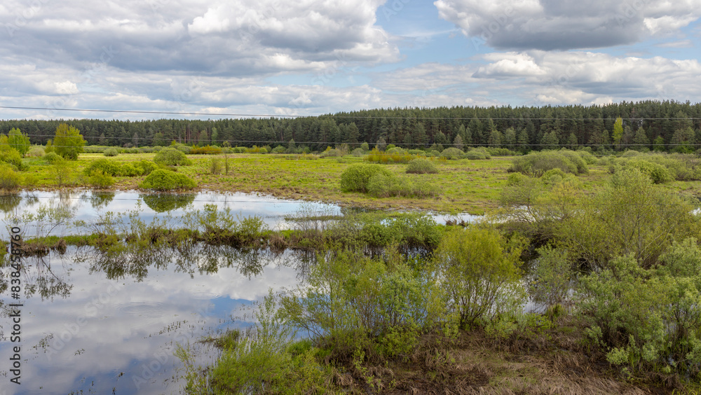 A majestic river winds its way through a dense, vibrant green forest, creating a mesmerizing scene of natures beauty and tranquility A majestic river winds its way through a dense, vibrant green forest, creating a mesmerizing scene of natures beauty and tranquility