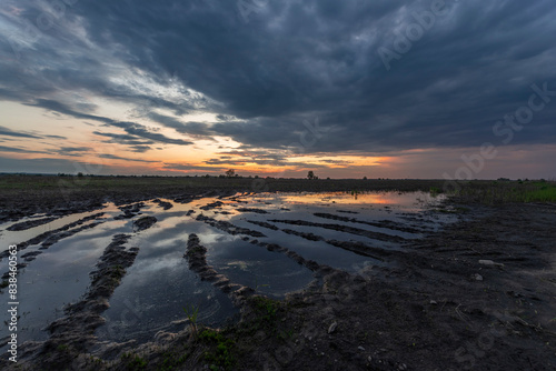 Wallpaper Mural A photograph of a muddy field with tire tracks filled with water, reflecting the setting sun. The sky is filled with dramatic clouds, and a few trees are visible in the distance.. Torontodigital.ca