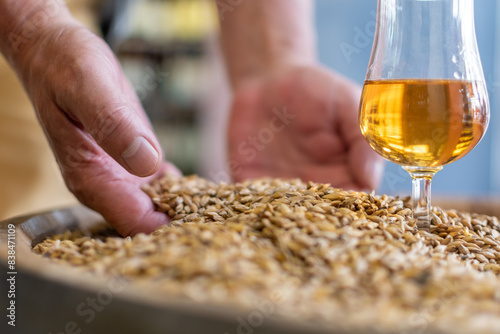 Man hand with whisky glass close-up on background of heap of barley grains on wooden cask photo