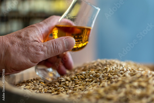 Man hand with whisky glass close-up on background of heap of barley grains on wooden cask