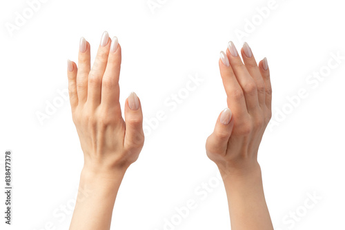 Woman hands isolated on a white background.