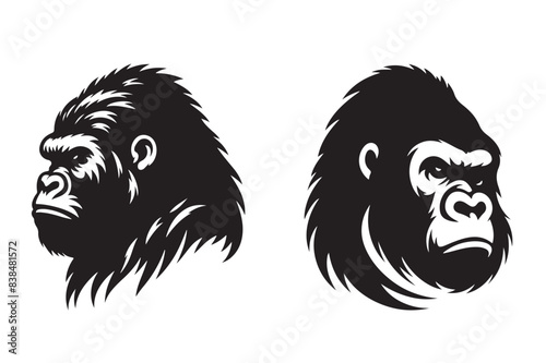 black and white gorila
