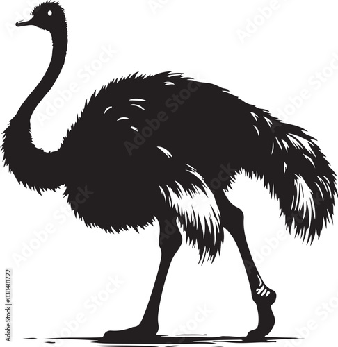 ostrich silhouette vector