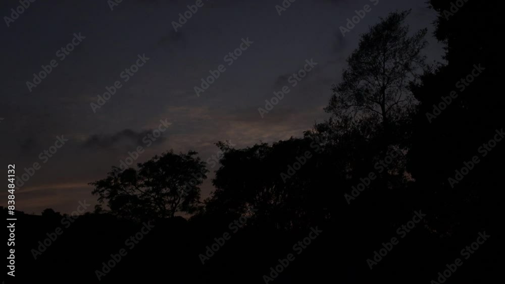 Nascer do Sol em meio às árvores Timelapse 1