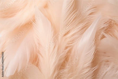 Pastel feather background abstract texture soft bird light feathers fluffy design photo